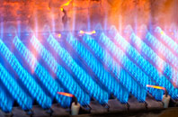 Bradden gas fired boilers